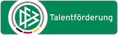DFB_Talentförderung.jpg  